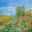 Tady jsem doma olej 40x40