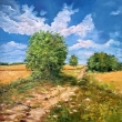 Cesty v polch, olej 50x50