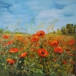 M�ky, olej 70x70