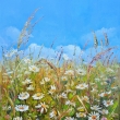 Louka pln� kopretin, olej 50x60