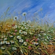 Ke konci l�ta, olej 40x40