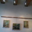 Galerie M, Pelh�imov
