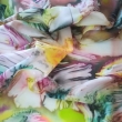 PODZIMN�, 90x90,mo�no zakoupit