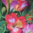 ALSTROMERIE, olej 40x60
