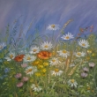 VOL�N� JARA, olej 50x50