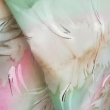 mo�no zakoupit, N̮N�, 90x90