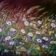 Ve v�nku 80x60