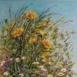 Pampeli�ky, prod�no v galeri iArt Lasak,Pre�ov