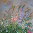 N�prstn�ky, olej 60x80 zamluveno