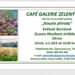Prodejn� autork� v�stava, Zelen� d�m, �jezd nad Lesy