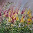 Lupina ( V zahrad�),olej 60x60