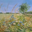 Na mezi II, olej70x50
