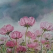 Kr�senky, olej  50x60