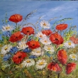 Ach ty m�ky, olej 40x40