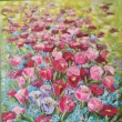 Tulip�nov�, olej - �pachtle 60x80