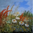 Pozdrav z luk, olej 40x40, zamluveno