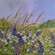 L�to , 50x50 olej