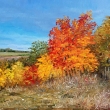 Malebn� podzim, olej 70x50